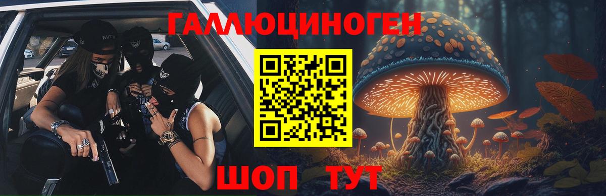Псилоцибиновые грибы Psilocybine cubensis Саянск