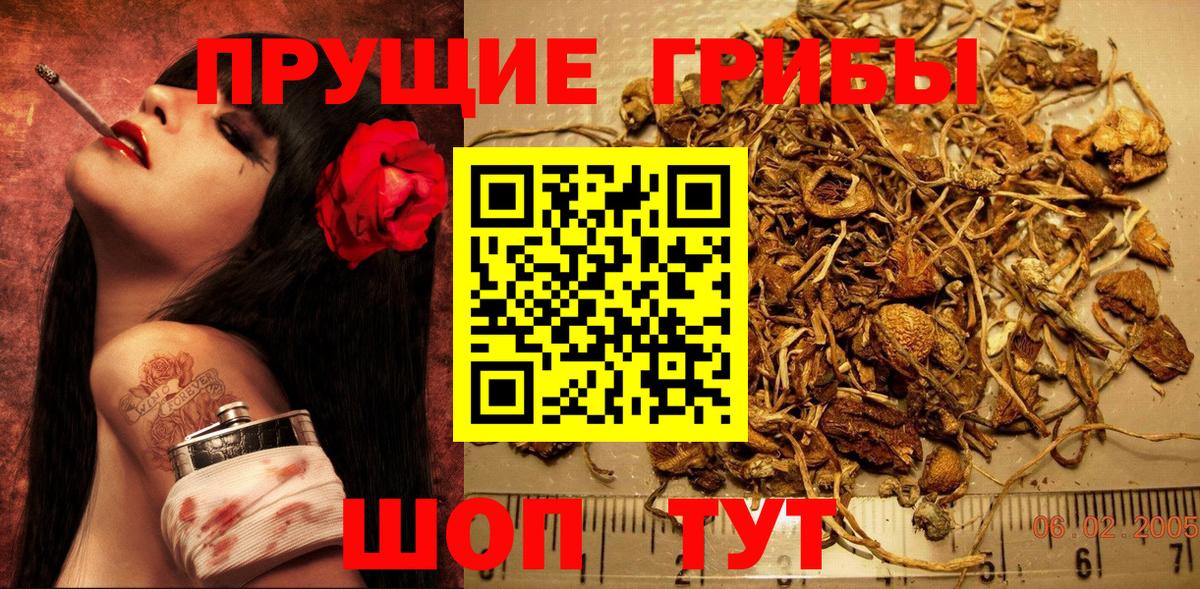 Псилоцибиновые грибы Cubensis  Псилоцибиновые грибы MAGIC MUSHROOMS  Саянск  где найти   Вход с VPN 